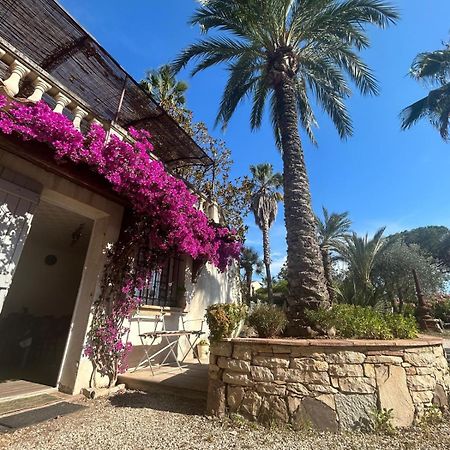Les Palmiers Fréjus Exterior foto