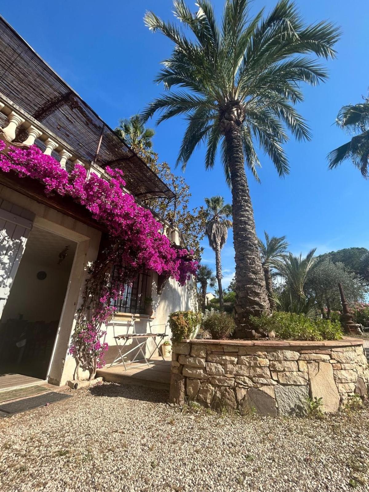 Les Palmiers Fréjus Exterior foto