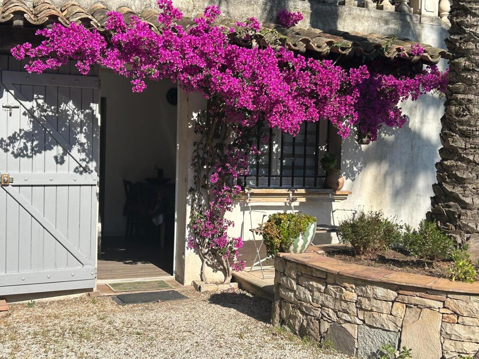 Les Palmiers Fréjus Exterior foto